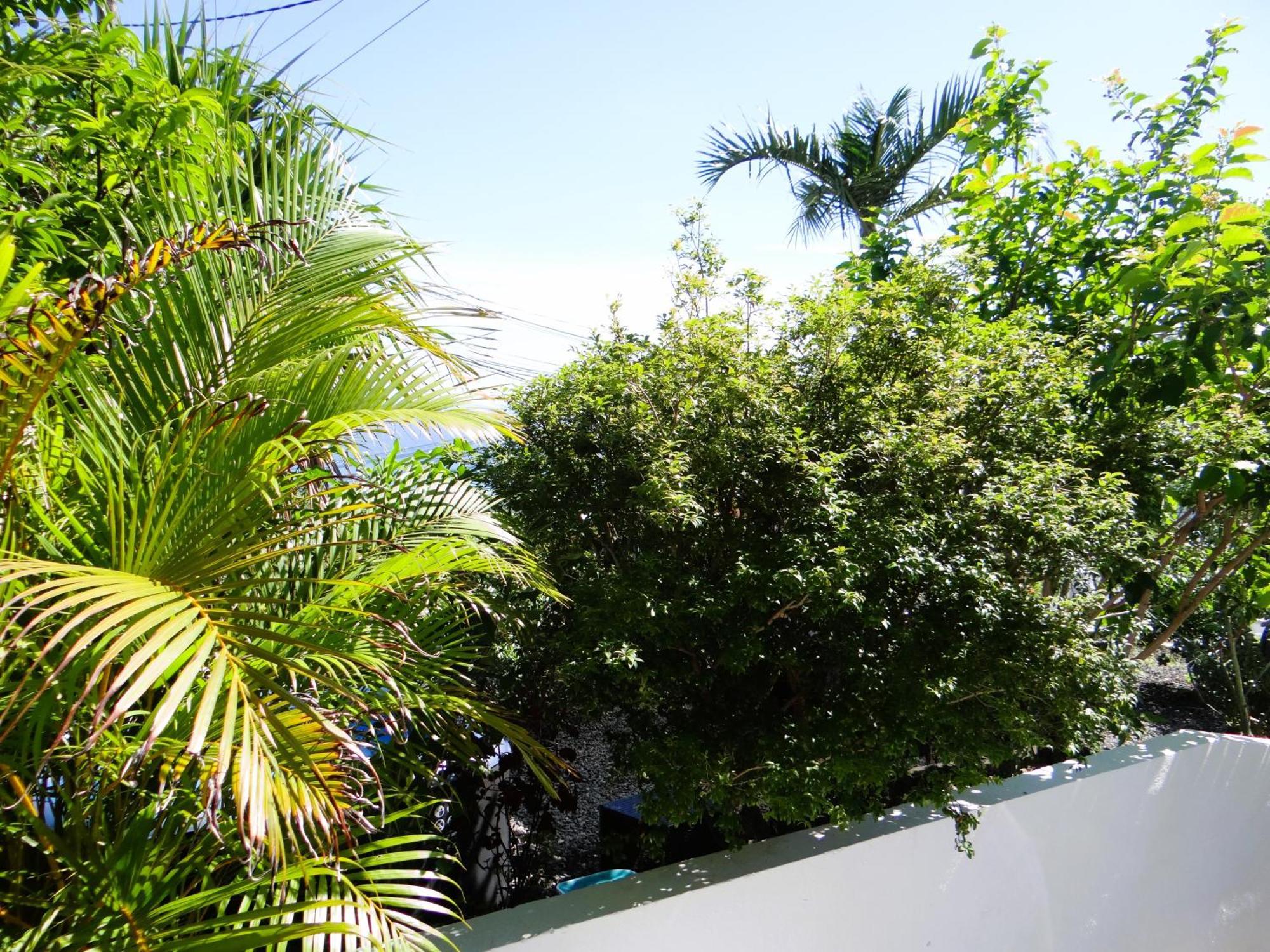 Le Cocon De Madana Apartment Saint-Joseph Exterior photo